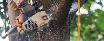 Best Emergency Tree Removal Services  in Twin Lake, MI