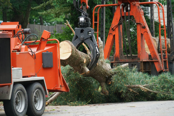 Lawn Watering Services in Twin Lake, MI